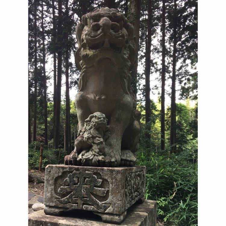 みーなさんが投稿した諏訪神社に関する口コミの画像