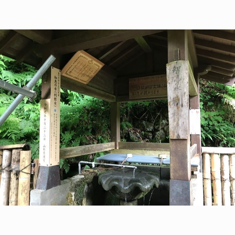 Musashiさんが投稿した亀岡文殊大聖寺に関する口コミの画像