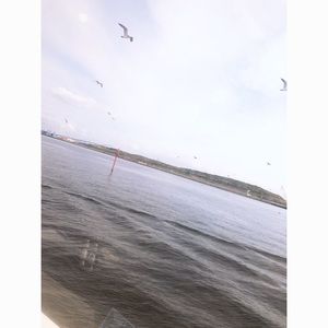 東京湾シンフォニークルーズ