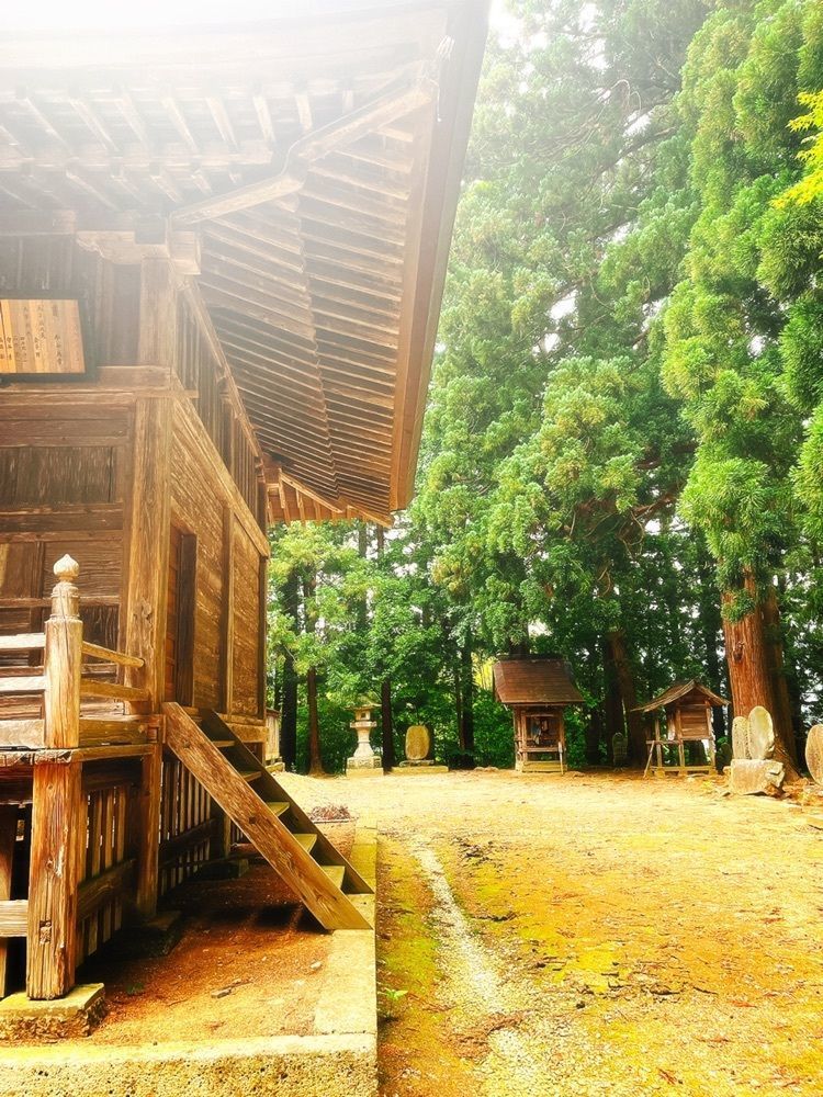 猫なぎ。さんが投稿した八乙女八幡神社に関する口コミの画像