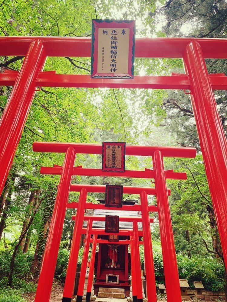 猫なぎ。さんが投稿した八乙女八幡神社に関する口コミの画像