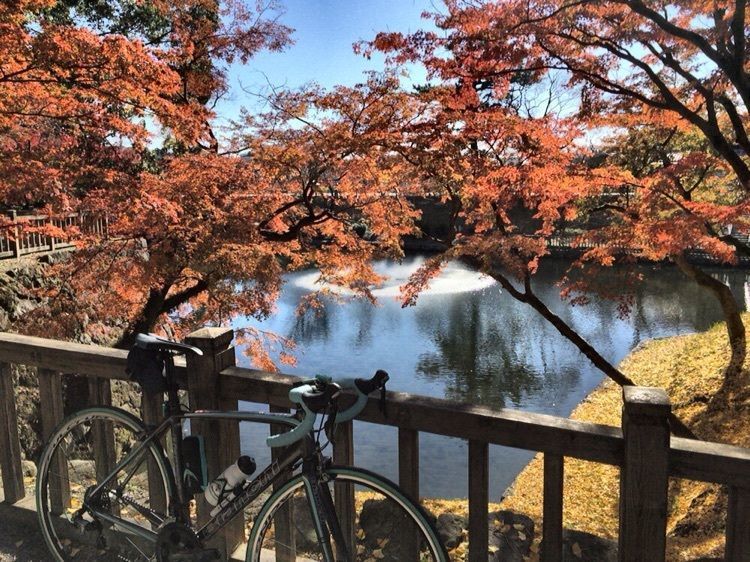 #旅行 #フォトジェニック #わたしのおでかけ #紅葉 #岡崎城 #ロードバイク #ビアンキ #フルクラム #サイクリング