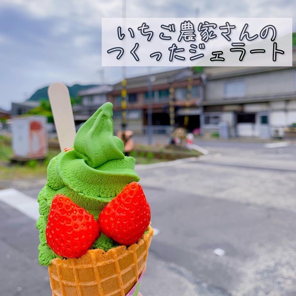 おでかけ探検部さんが投稿した市丸農園 いちご研究室に関する口コミの画像