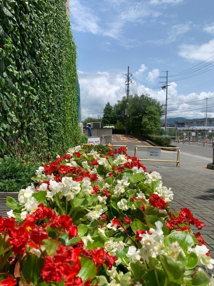 blossom&C7さんが投稿した城陽 旬菜市に関する口コミの画像