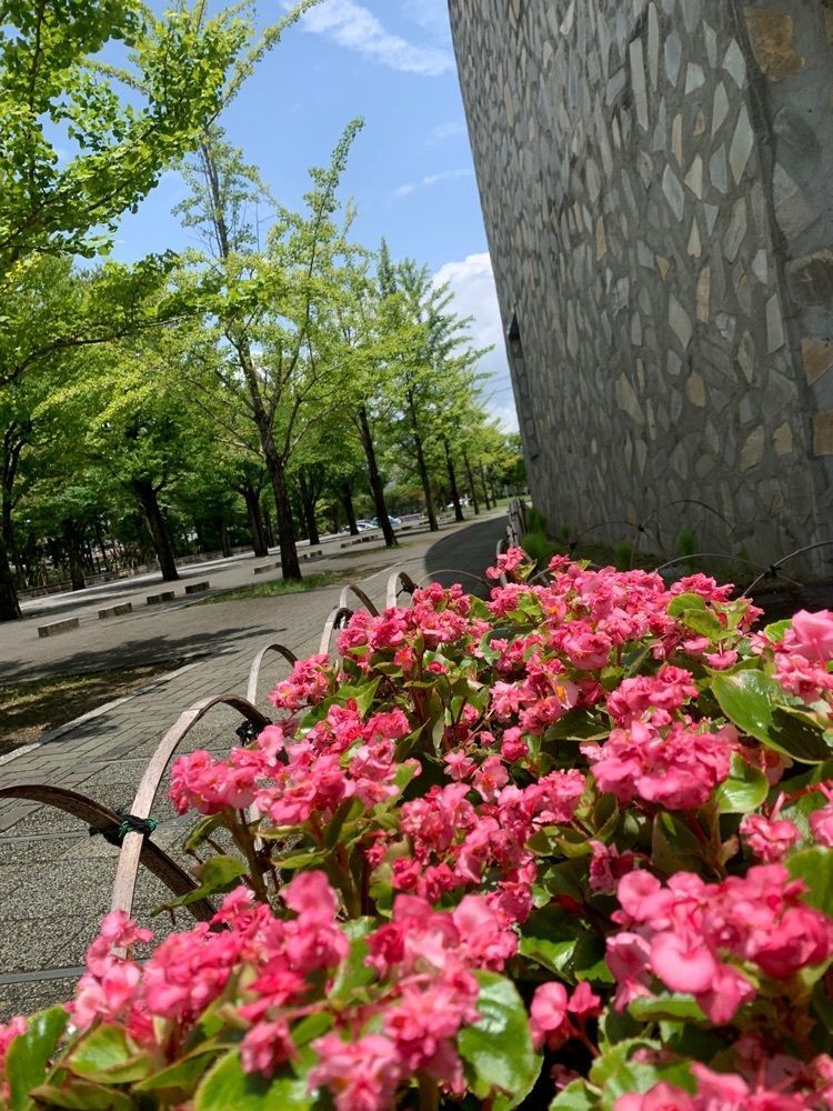 blossom&C7さんが投稿した城陽 旬菜市に関する口コミの画像