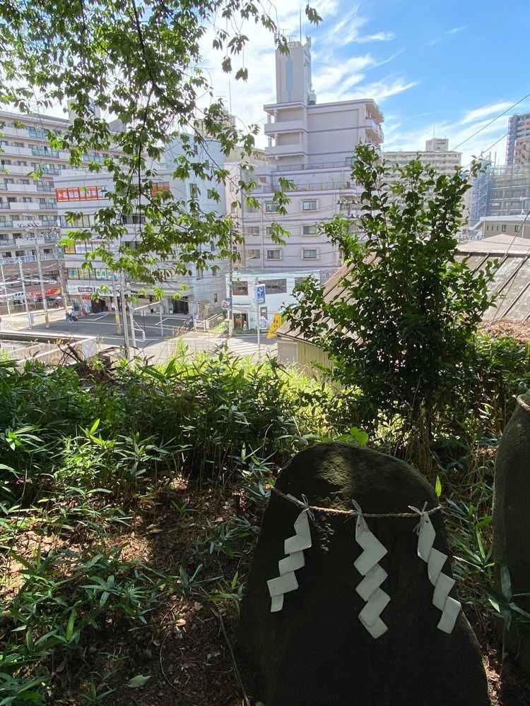 かめ_メグミさんが投稿したイマジネ（IMAGINE）に関する口コミの画像