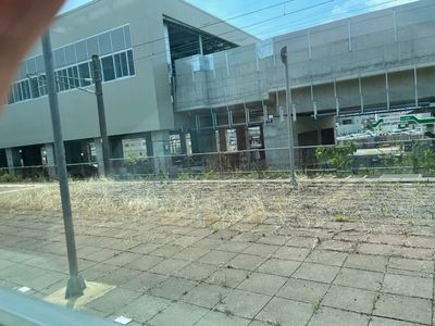 ヨーロッパ軒 豊島分店 6枚目