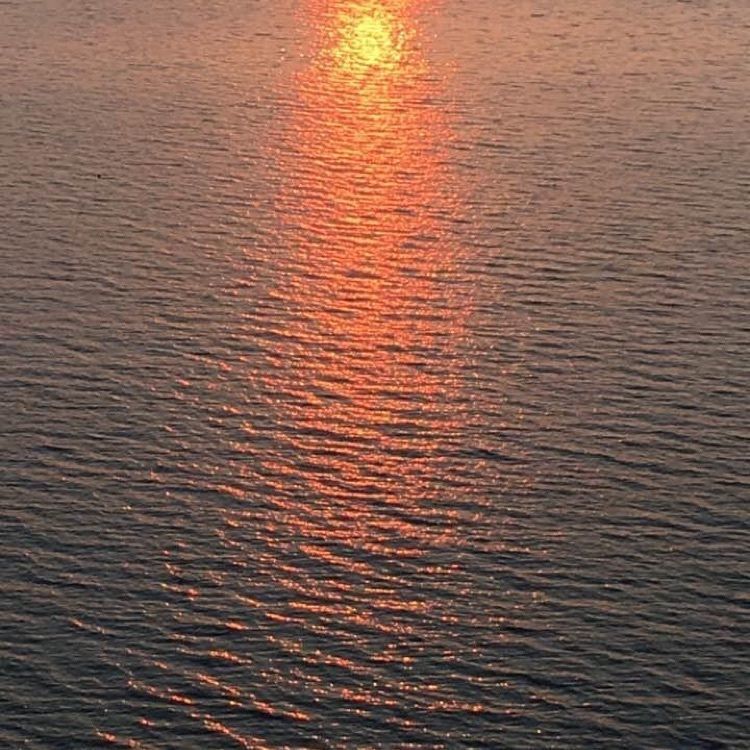 ＤＪゴン太さんが投稿した琵琶湖に関する口コミの画像
