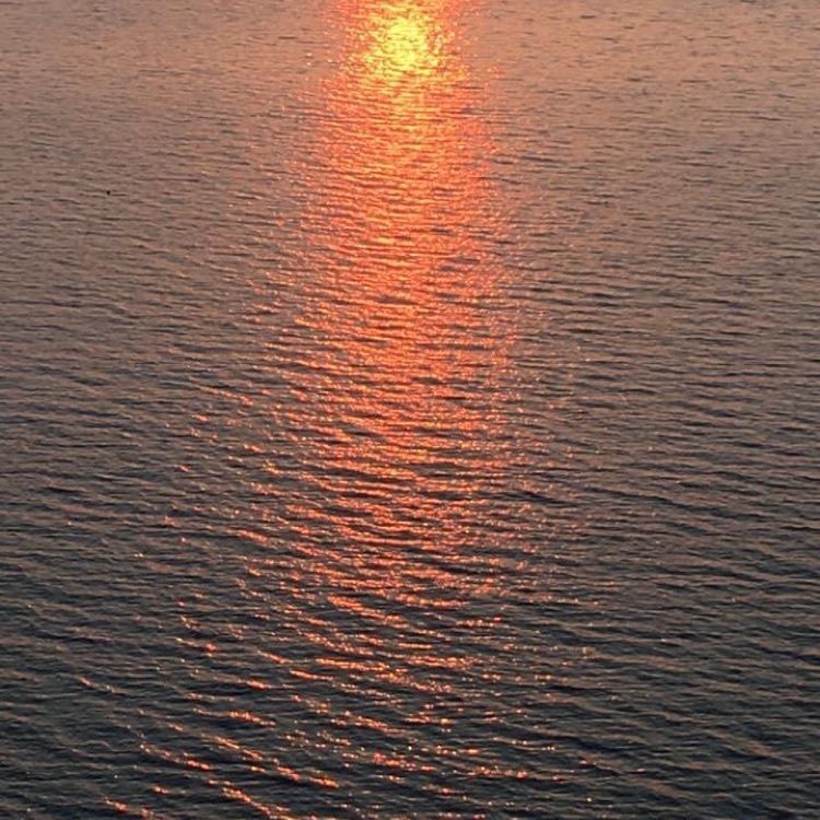 ＤＪゴン太さんが投稿した琵琶湖に関する口コミの画像
