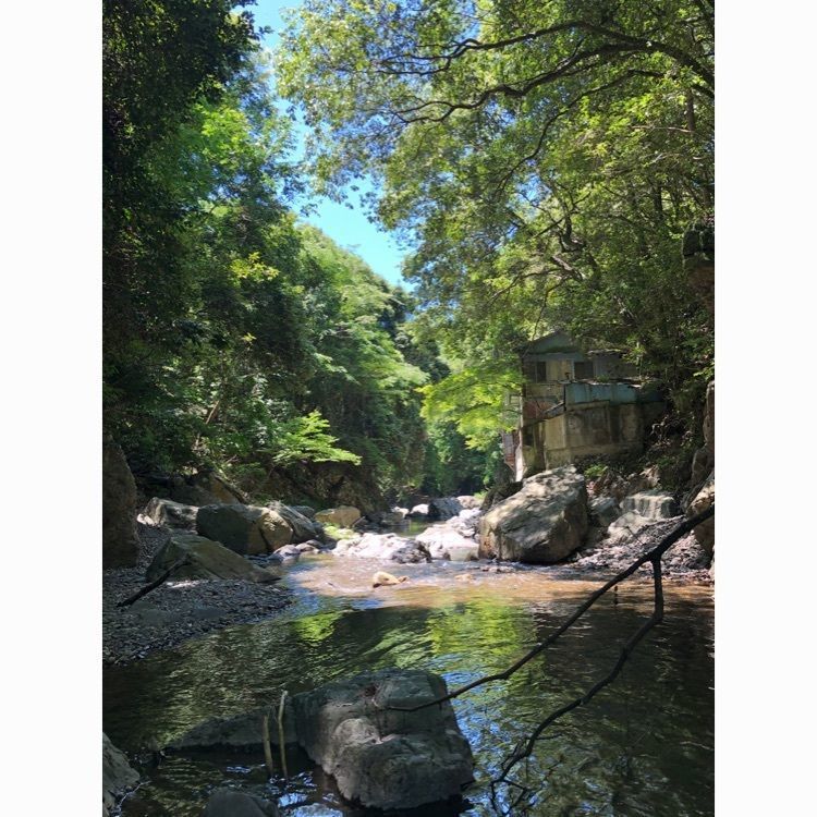 Hitomiさんが投稿した摂津峡に関する口コミの画像