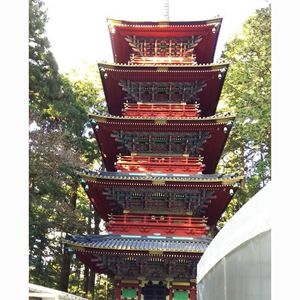 東照宮本殿、石之間、拝殿 3枚目