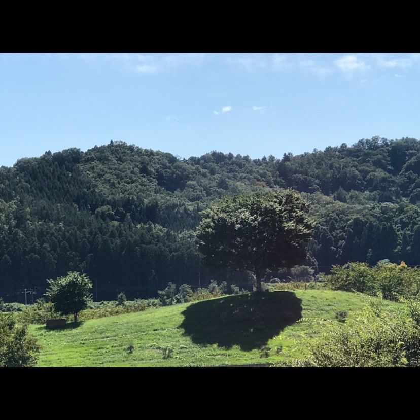 猫なぎ。さんが投稿した大河原公園に関する口コミの画像