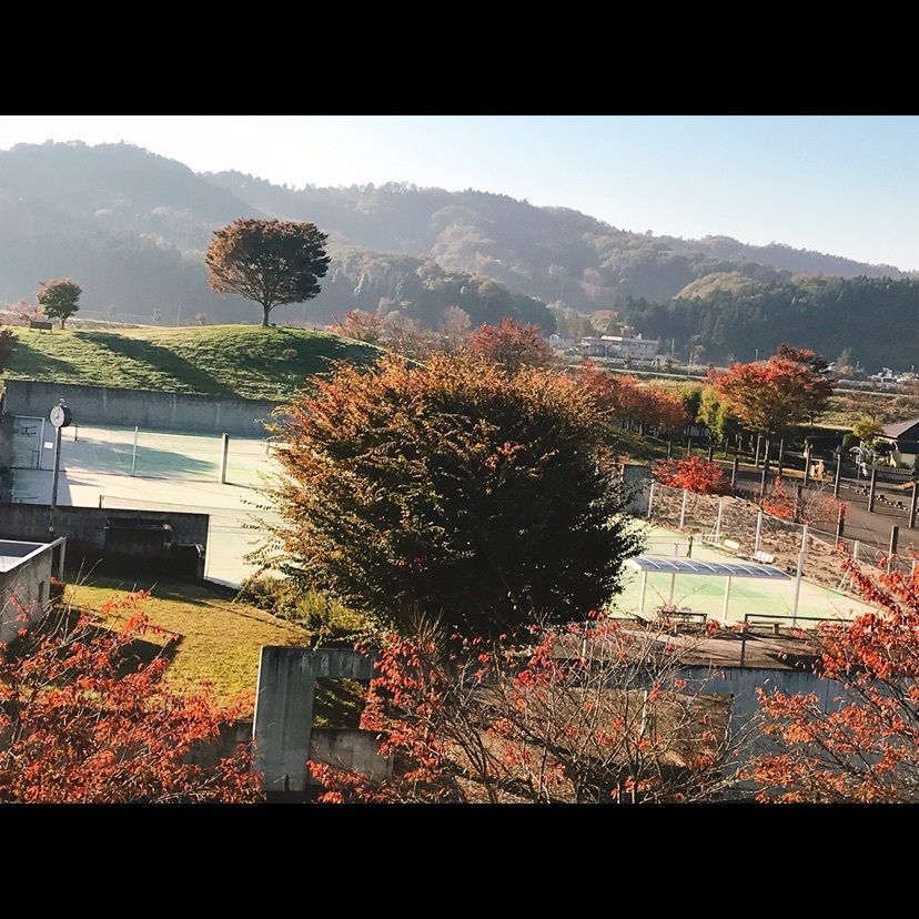 猫なぎ。さんが投稿した大河原公園に関する口コミの画像