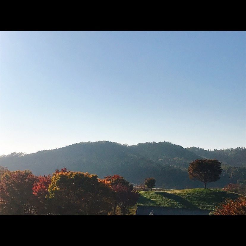 猫なぎ。さんが投稿した大河原公園に関する口コミの画像