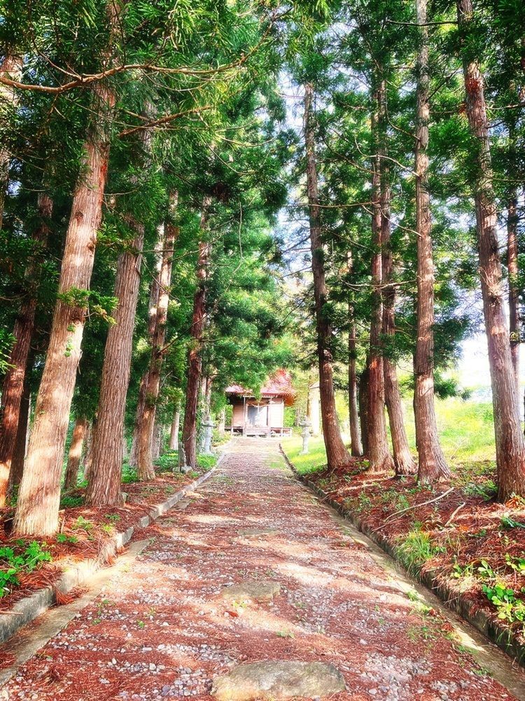 猫なぎ。さんが投稿した東山総合スポーツ公園に関する口コミの画像