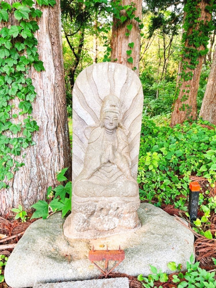 猫なぎ。さんが投稿した東山総合スポーツ公園に関する口コミの画像