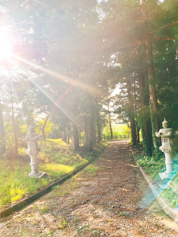 猫なぎ。さんが投稿した東山総合スポーツ公園に関する口コミの画像