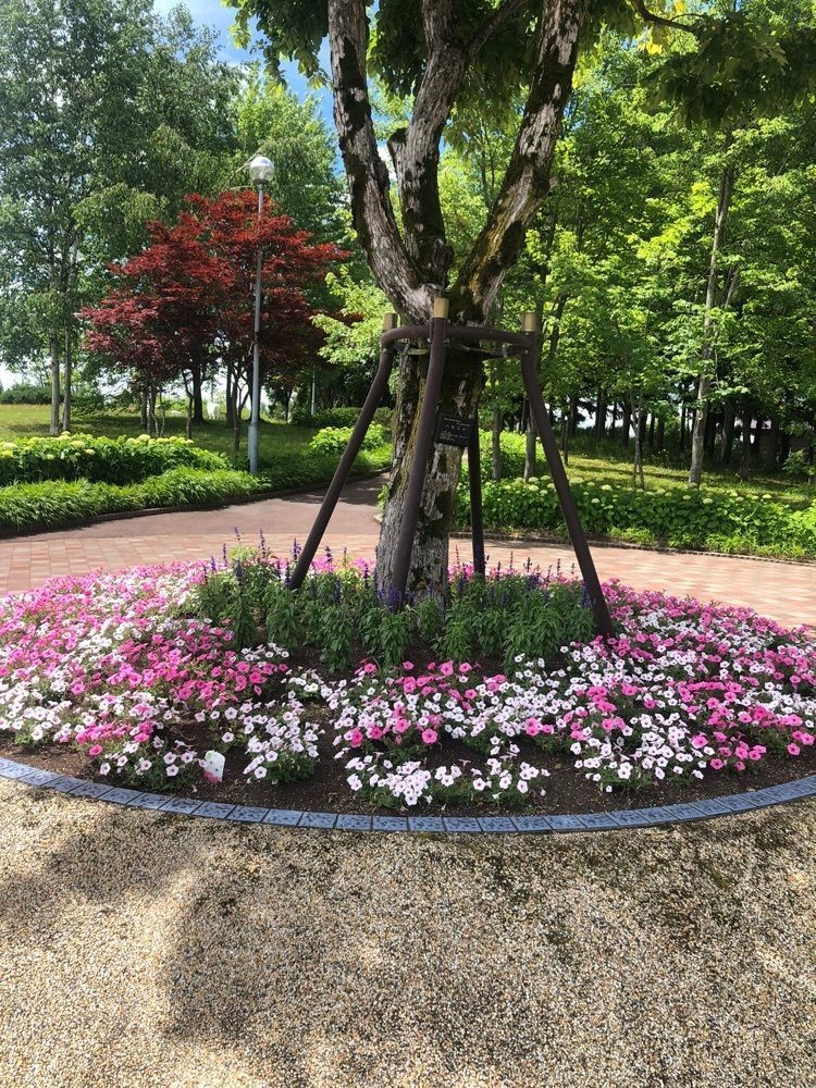 happy_walkingさんが投稿した砂川サービスエリア（下り）に関する口コミの画像