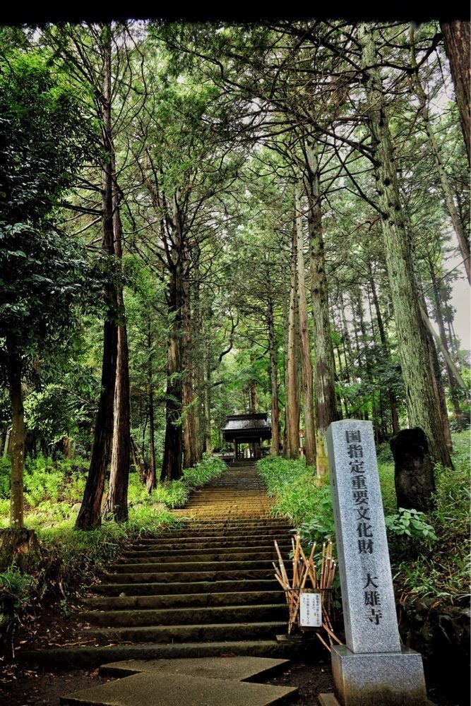 まさまさ　さまさんが投稿した大雄寺に関する口コミの画像