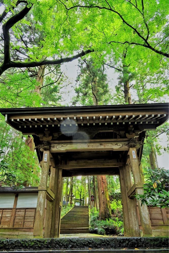 まさまさ　さまさんが投稿した大雄寺に関する口コミの画像