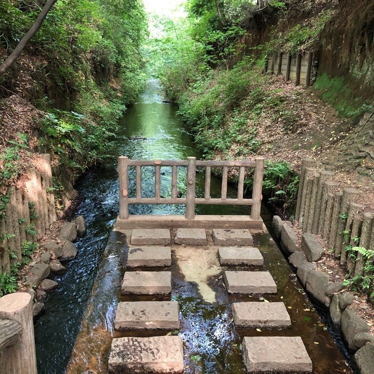 a-chan-0926さんが投稿した玉川上水緑道に関する口コミの画像