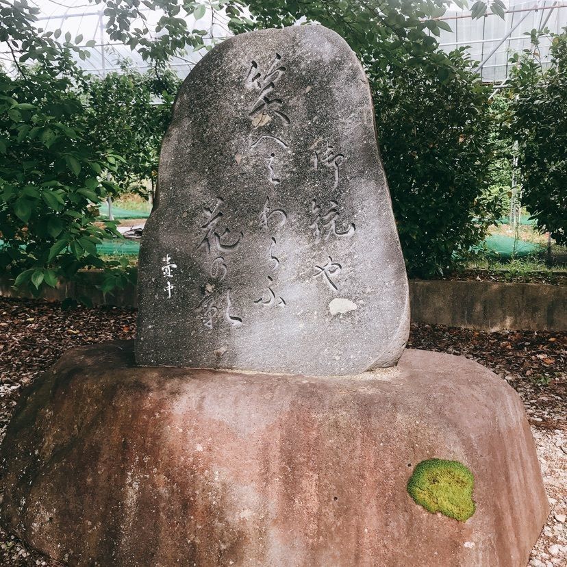 猫なぎ。さんが投稿した日本一社林崎居合神社に関する口コミの画像