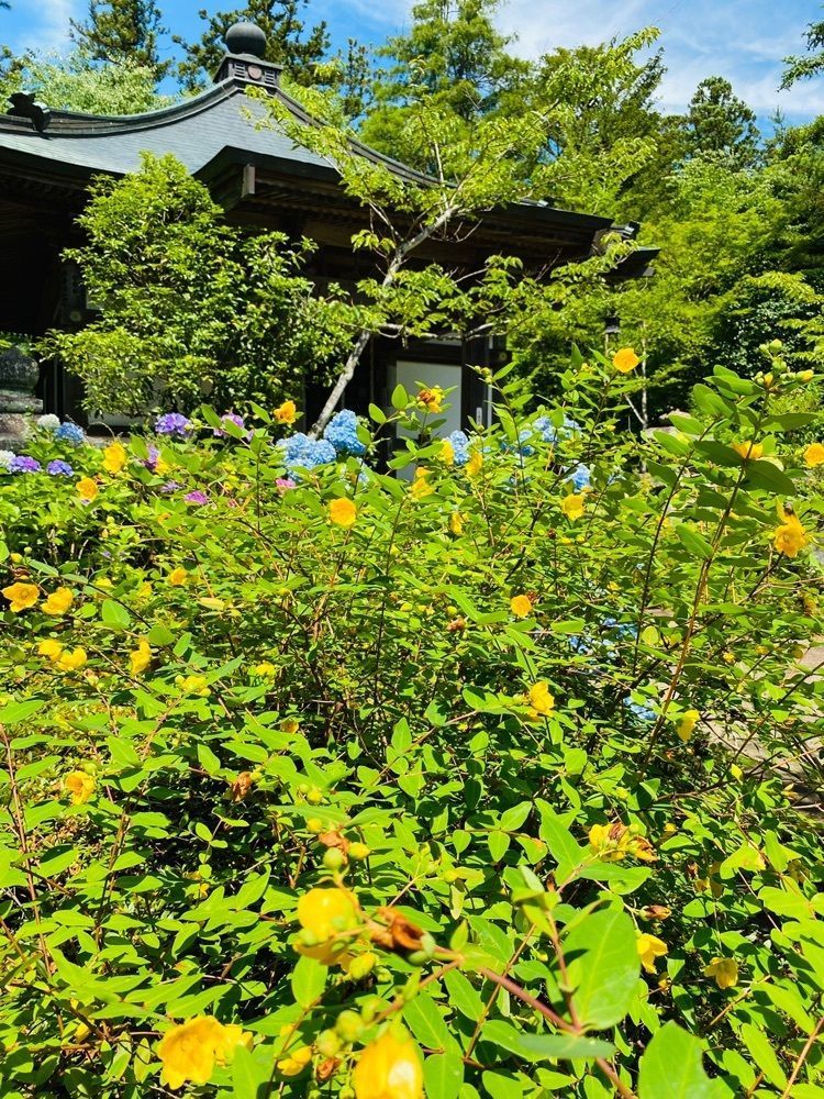 かめ_メグミさんが投稿した資福寺に関する口コミの画像
