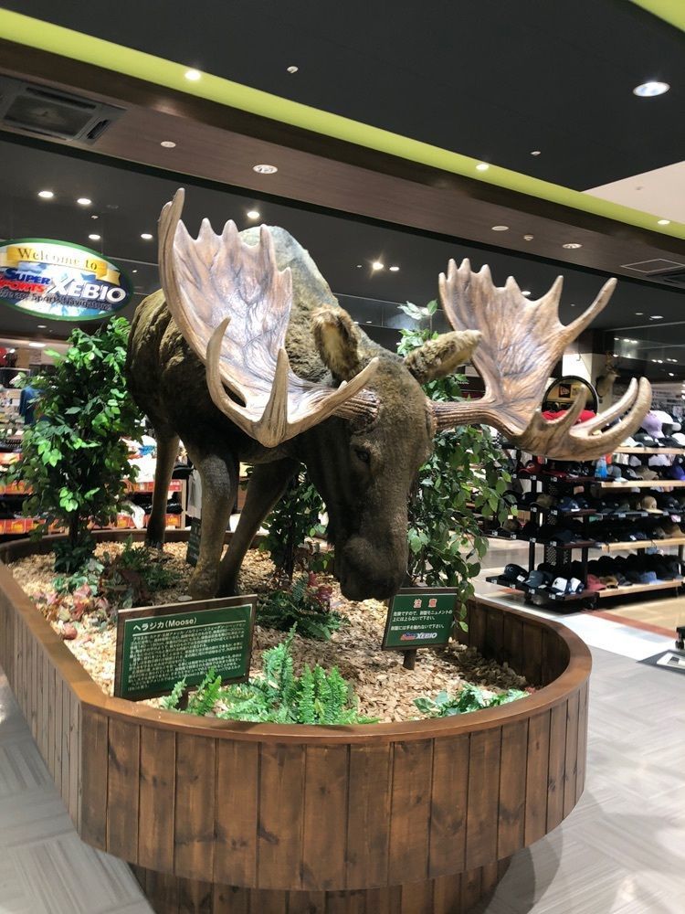 からっ風②さんが投稿したゼビオスポーツエクスプレス 伊勢崎店に関する口コミの画像