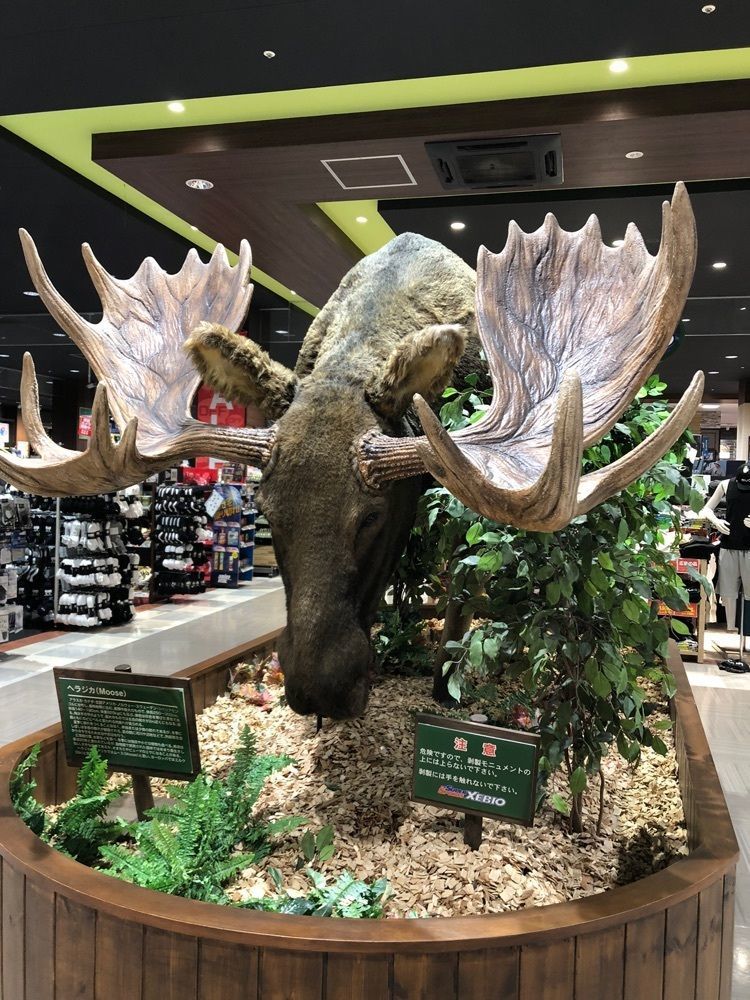 からっ風②さんが投稿したゼビオスポーツエクスプレス 伊勢崎店に関する口コミの画像