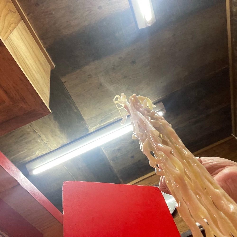 えつごさんが投稿したラーメン二郎 京都店に関する口コミの画像