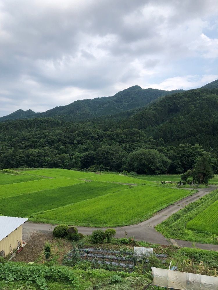 からっ風②さんが投稿した山水荘に関する口コミの画像