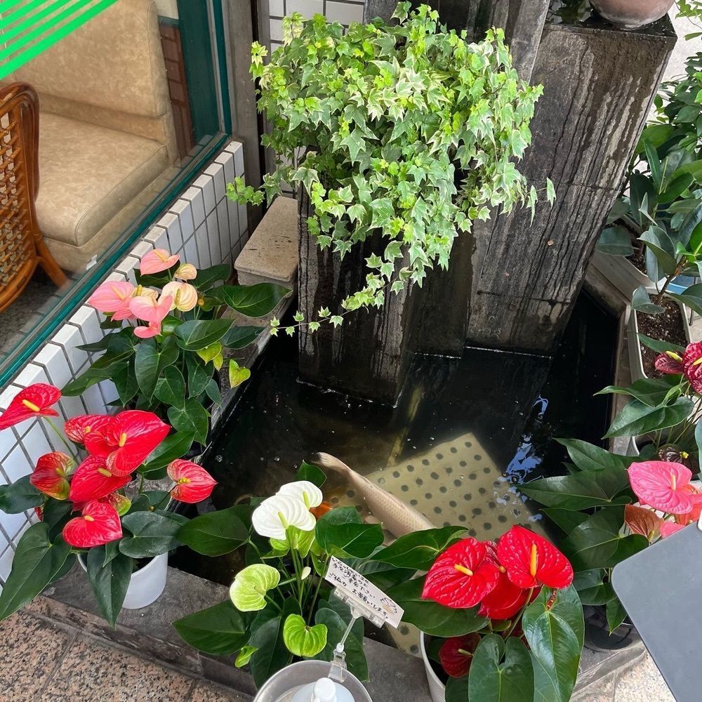 yoko_tokyoiventlifeさんが投稿したスイートハウスわかばに関する口コミの画像