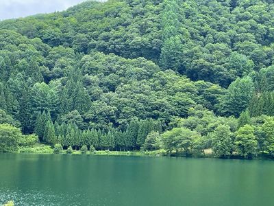 新潟の酒と米 まいどや 5枚目