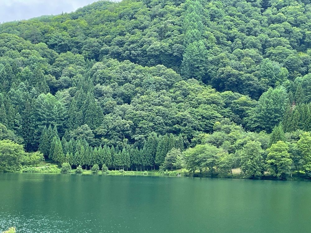 たか富山人さんが投稿した新潟の酒と米 まいどやに関する口コミの画像
