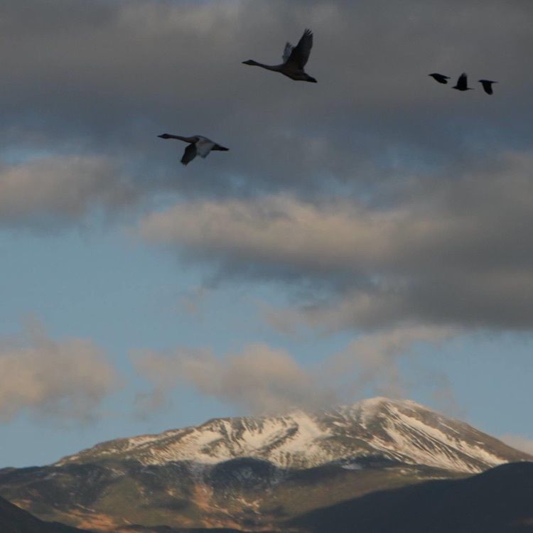 ＤＪゴン太さんが投稿した鳥海山（小鳥海山）に関する口コミの画像
