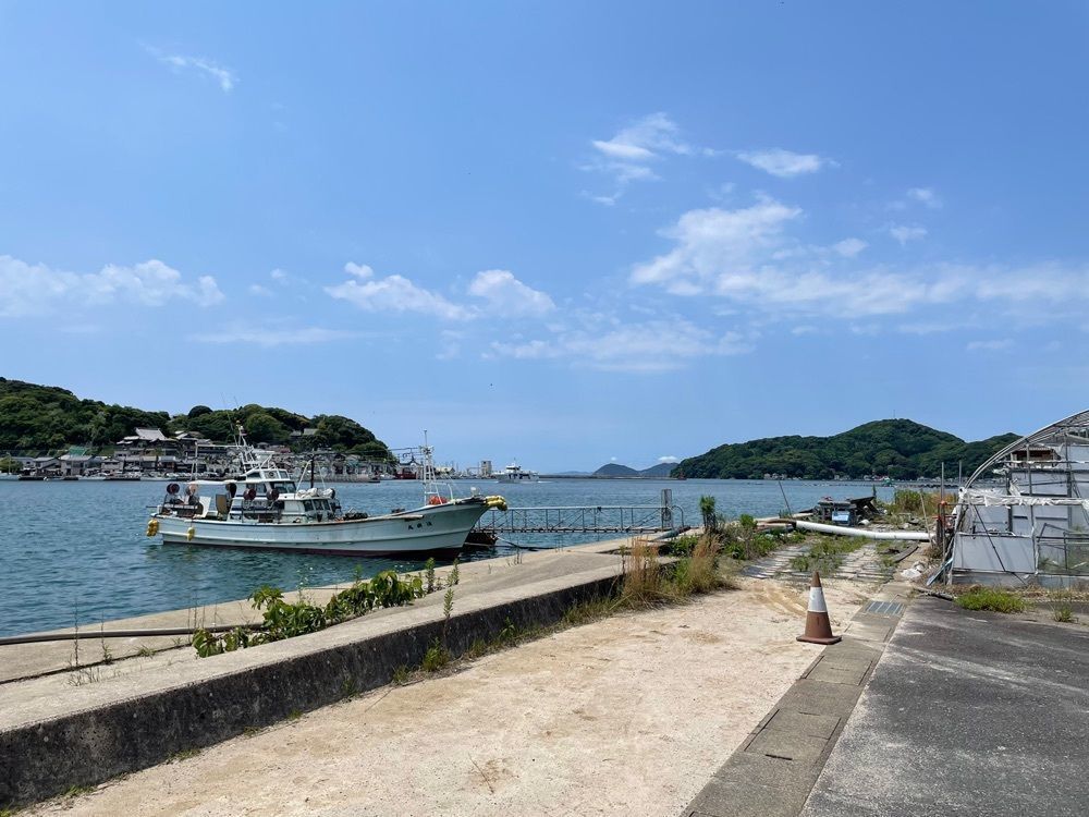 fumiさんが投稿した呼子観光案内所に関する口コミの画像