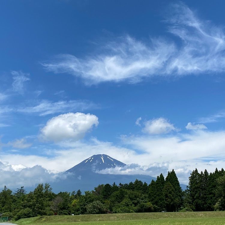 RIMさんが投稿したビジネスホテルかねくら本館に関する口コミの画像