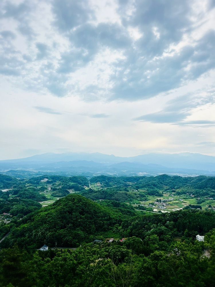 猫なぎ。さんが投稿した千貫森公園に関する口コミの画像