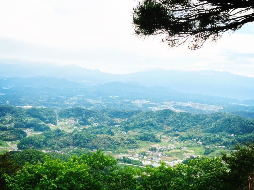 猫なぎ。さんが投稿した千貫森公園に関する口コミの画像