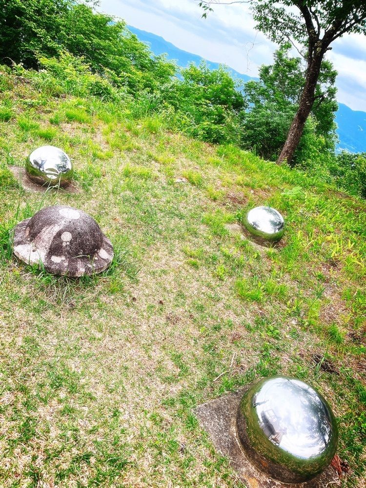 猫なぎ。さんが投稿した千貫森公園に関する口コミの画像