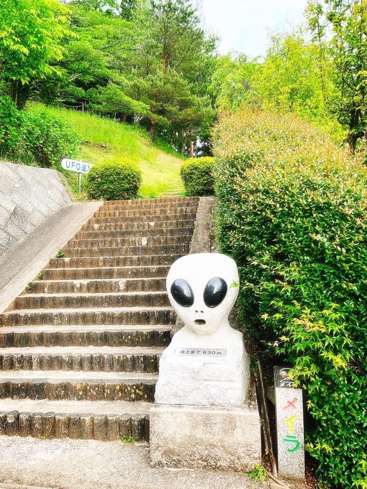 猫なぎ。さんが投稿した千貫森公園に関する口コミの画像