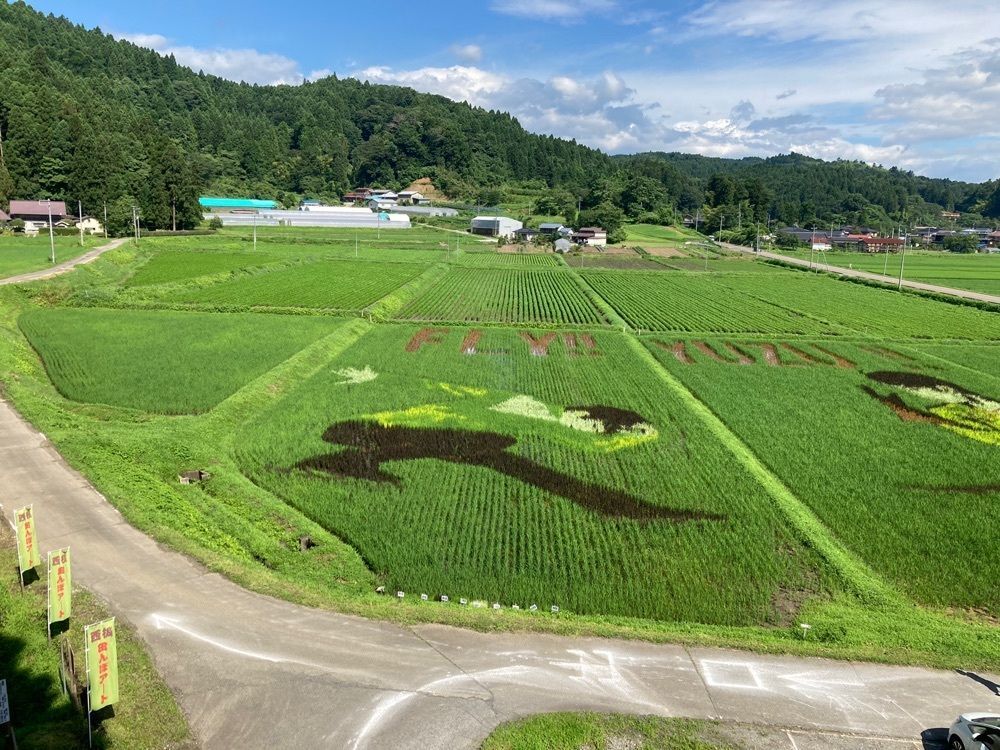 あたたさんが投稿した田んぼアート ふれあい直売所に関する口コミの画像