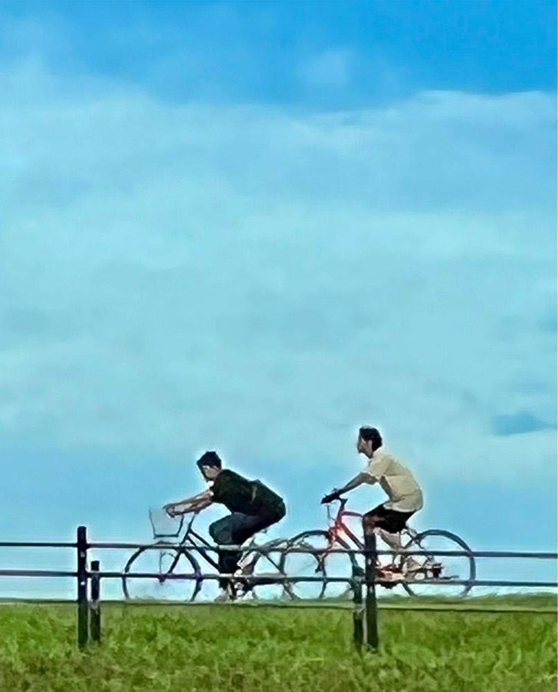 ビンカさんが投稿した馬入ふれあい公園に関する口コミの画像