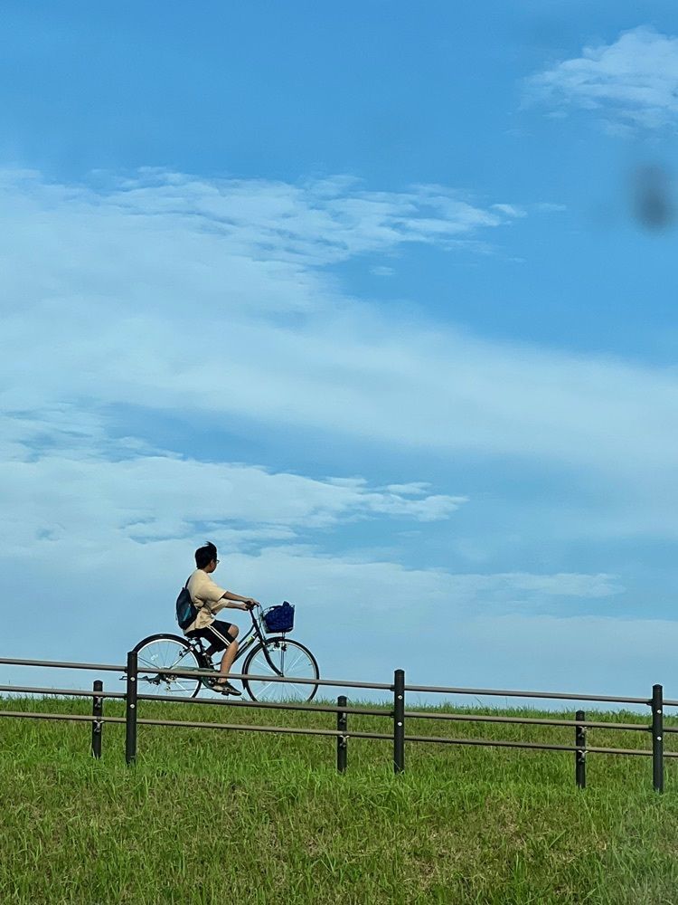 ビンカさんが投稿した馬入ふれあい公園に関する口コミの画像