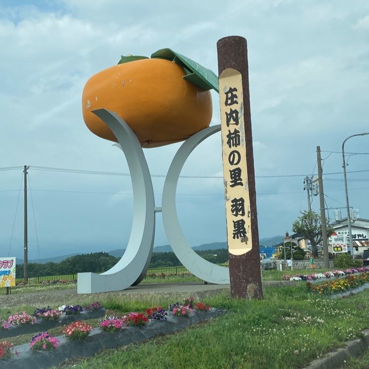 かめ_メグミさんが投稿した笹川食堂に関する口コミの画像