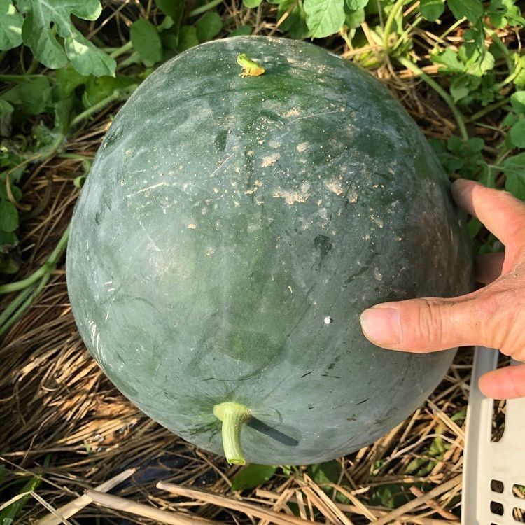 佳さんが投稿した喫茶カタロに関する口コミの画像