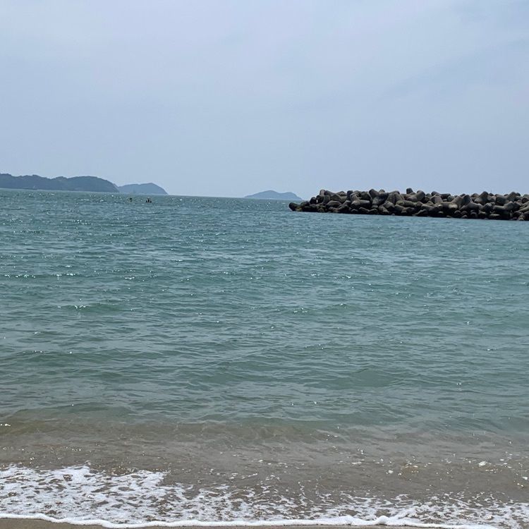 じゅりあんさんが投稿した片男波海水浴場に関する口コミの画像