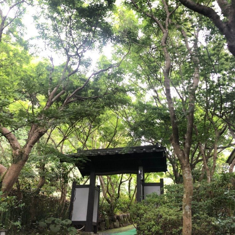 ponponaoさんが投稿した創作川魚料理　料亭 龍泉荘に関する口コミの画像