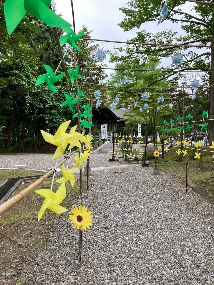 Mさんが投稿した上川神社に関する口コミの画像