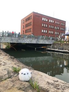 濱焼北海道魚萬 小樽駅前本店 8枚目